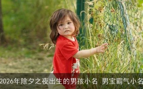 2026年除夕之夜出生的男孩小名 男宝霸气小名
