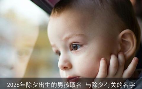 2026年除夕出生的男孩取名 与除夕有关的名字