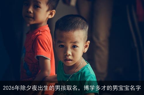 2026年除夕夜出生的男孩取名，博学多才的男宝宝名字