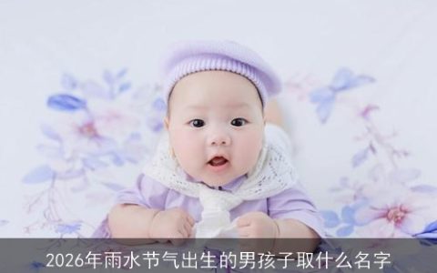 2026年雨水节气出生的男孩子取什么名字
