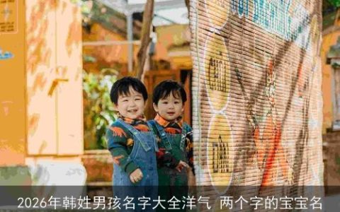 2026年韩姓男孩名字大全洋气 两个字的宝宝名