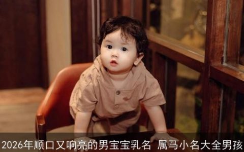2026年顺口又响亮的男宝宝乳名 属马小名大全男孩
