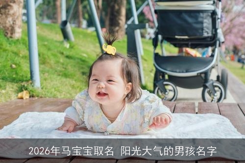 2026年马宝宝取名 阳光大气的男孩名字