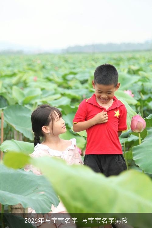 2026年马宝宝名字 马宝宝名字男孩