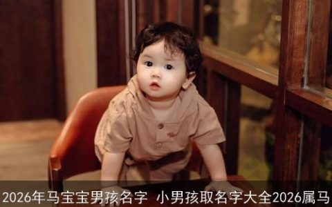 2026年马宝宝男孩名字 小男孩取名字大全2026属马
