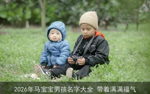 2026年马宝宝男孩名字大全 带着满满福气
