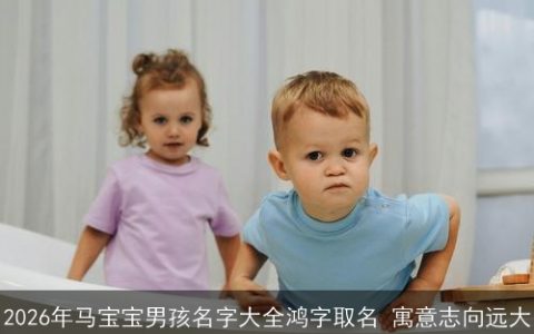 2026年马宝宝男孩名字大全鸿字取名 寓意志向远大