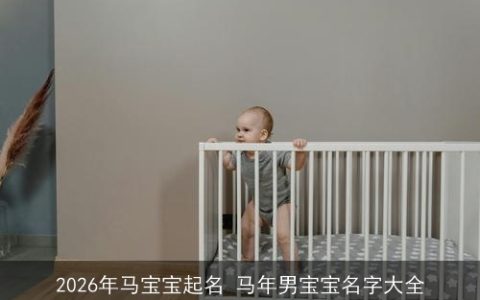 2026年马宝宝起名 马年男宝宝名字大全