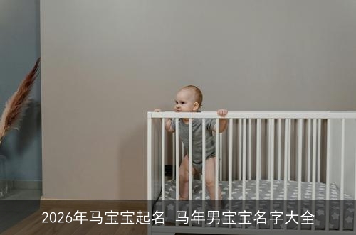 2026年马宝宝起名 马年男宝宝名字大全