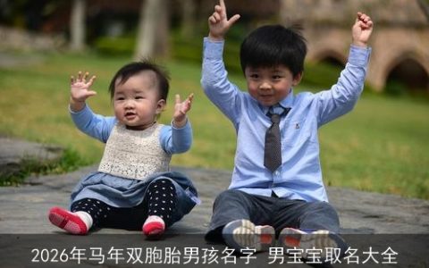 2026年马年双胞胎男孩名字 男宝宝取名大全