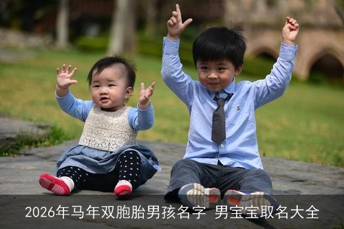 2026年马年双胞胎男孩名字 男宝宝取名大全