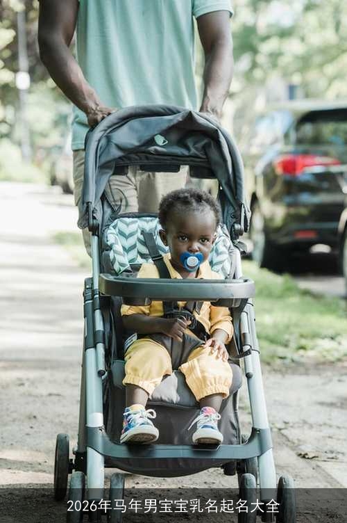 2026年马年男宝宝乳名起名大全