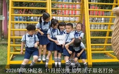 2026年高分起名 11月份出生的男孩子取名打分