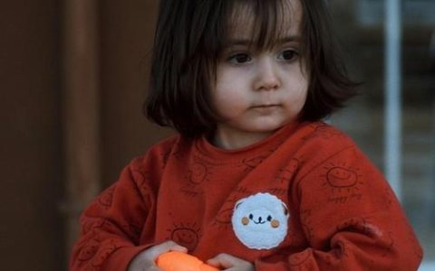 2026形容男孩子有气质有涵养的诗句，赞美一个男人才貌双全的诗词