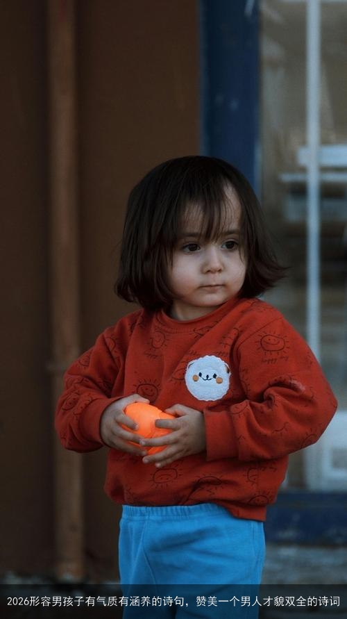 2026形容男孩子有气质有涵养的诗句，赞美一个男人才貌双全的诗词