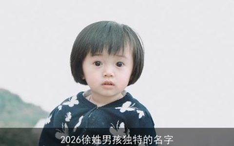 2026徐姓男孩独特的名字