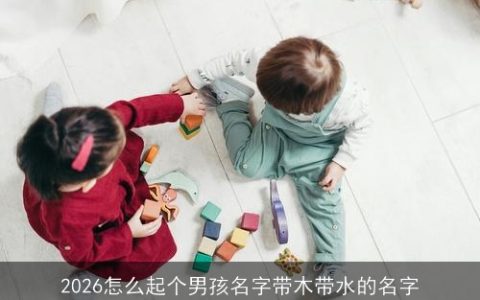 2026怎么起个男孩名字带木带水的名字