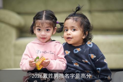 2026戴姓男孩名字最高分