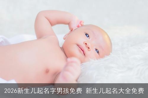 2026新生儿起名字男孩免费 新生儿起名大全免费