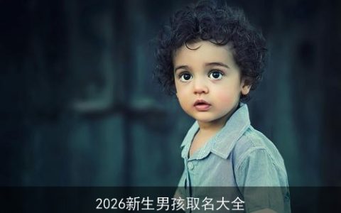 2026新生男孩取名大全