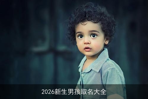 2026新生男孩取名大全