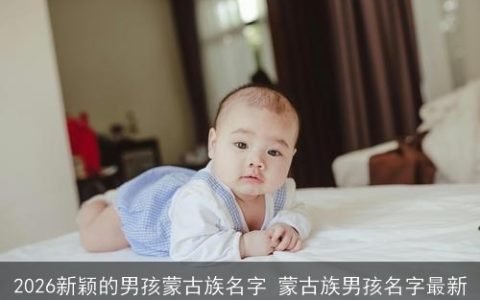 2026新颖的男孩蒙古族名字 蒙古族男孩名字最新