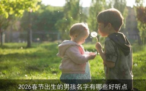 2026春节出生的男孩名字有哪些好听点