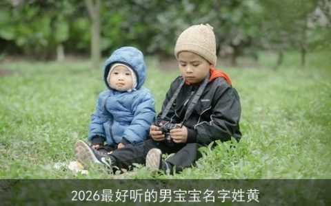 2026最好听的男宝宝名字姓黄