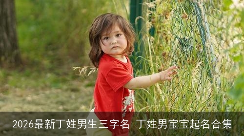 2026最新丁姓男生三字名 丁姓男宝宝起名合集