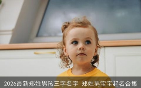 2026最新郑姓男孩三字名字 郑姓男宝宝起名合集