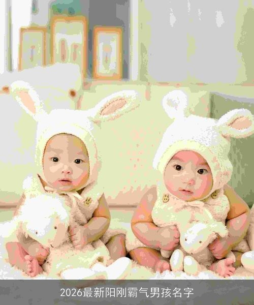 2026最新阳刚霸气男孩名字