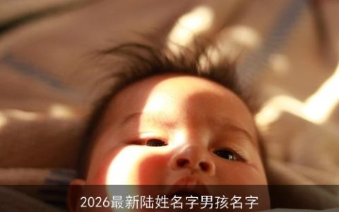 2026最新陆姓名字男孩名字