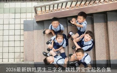 2026最新魏姓男生三字名 魏姓男宝宝起名合集