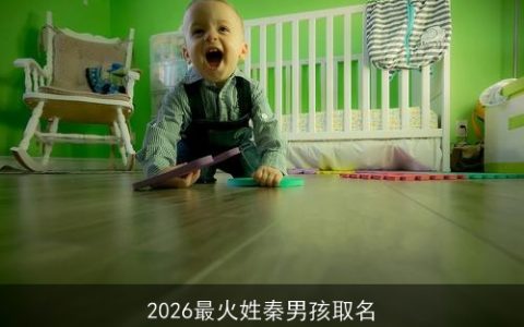 2026最火姓秦男孩取名