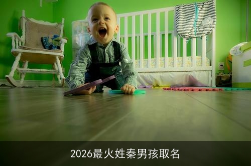 2026最火姓秦男孩取名