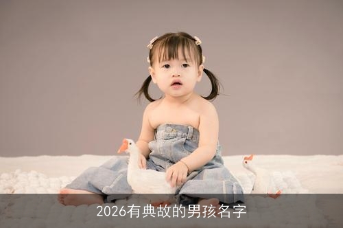2026有典故的男孩名字