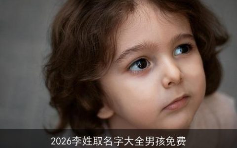 2026李姓取名字大全男孩免费