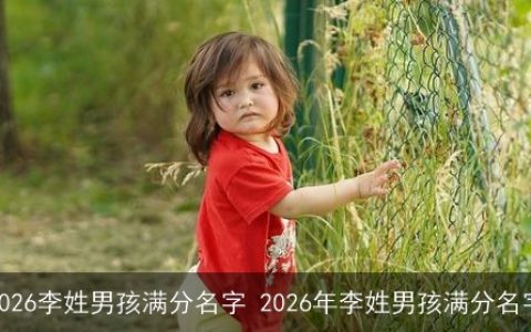 2026李姓男孩满分名字 2026年李姓男孩满分名字