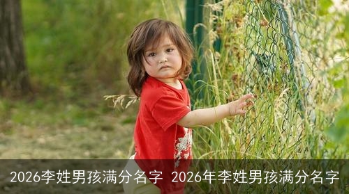 2026李姓男孩满分名字 2026年李姓男孩满分名字