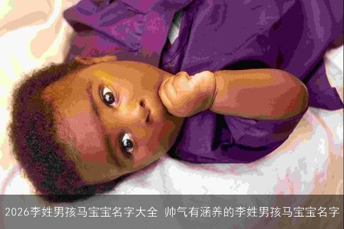 2026李姓男孩马宝宝名字大全 帅气有涵养的李姓男孩马宝宝名字