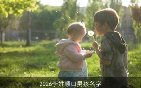 2026李姓顺口男孩名字