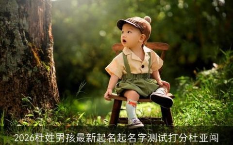 2026杜姓男孩最新起名起名字测试打分杜亚闯