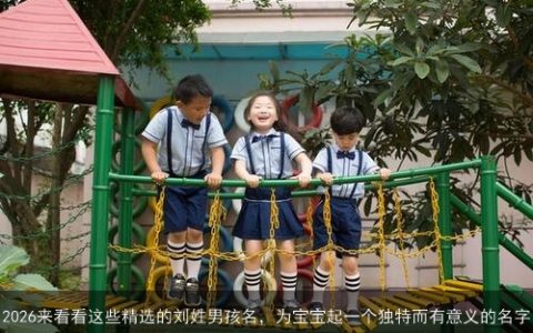 2026来看看这些精选的刘姓男孩名，为宝宝起一个独特而有意义的名字