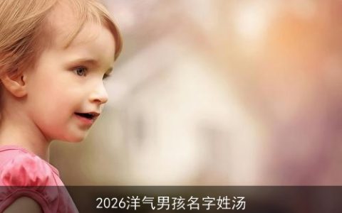 2026洋气男孩名字姓汤