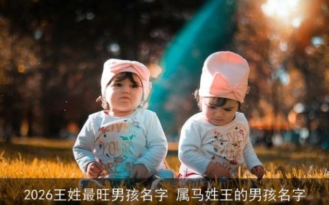 2026王姓最旺男孩名字 属马姓王的男孩名字