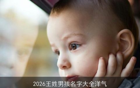 2026王姓男孩名字大全洋气