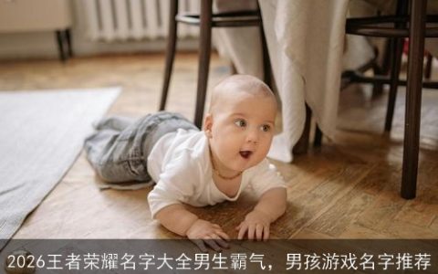 2026王者荣耀名字大全男生霸气，男孩游戏名字推荐