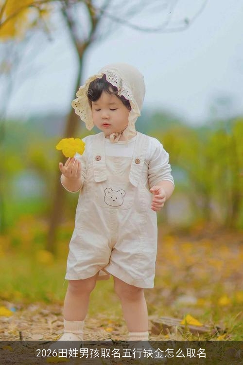 2026田姓男孩取名五行缺金怎么取名