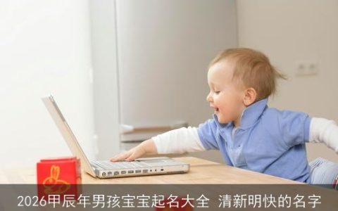 2026甲辰年男孩宝宝起名大全 清新明快的名字