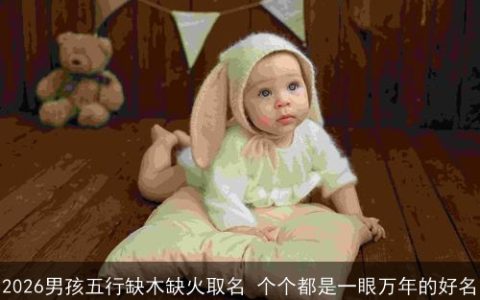 2026男孩五行缺木缺火取名 个个都是一眼万年的好名